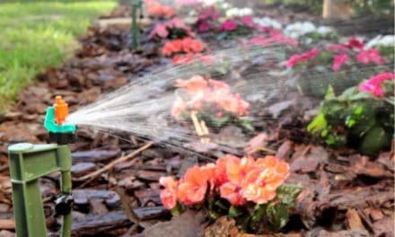 Giveaway: Mister Landscaper EcoFriendly Micro Sprinkler Irrigation Kits
