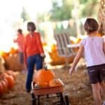 5 Tradition Worthy Family Halloween Activities