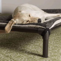 Best Dog Beds Made in USA • USA Love List